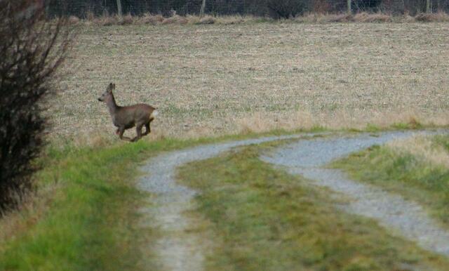 ...Ziel....fast am Startpunkt!!