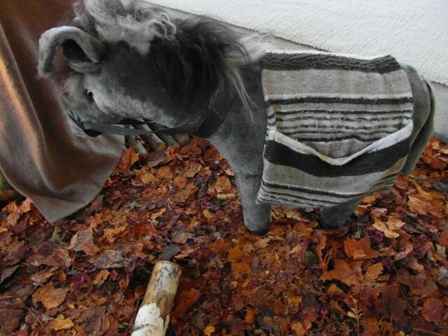 Der schöne Esel der mein Lieblingstier in der krippe steht. Für mich der reinste Träger der Last in Geduld .