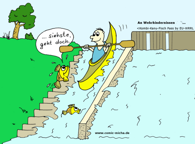 Die besseren K o m b i -Kanu-Fisch Pässe beim EU-WRRL-Flüssebarriereabbau gleichzeitig mit bauen! Hier die Argumente: http://www.fuerstenberger-seenland.de/fuerstenberg-paddeln.html _  http://www.umweltbundesamt.de/sites/default/files/medien/461/publikationen/4198.pdf  _
http://www.bund.net/publikationen/bundletter/12015/15_jahre_wasserrahmenrichtline_alle_gewaesser_im_guten_zustand/ _ 
http://www.wanderfische.de/Hindernisse/Weser/Aller/Oker/Abschlussbericht%20Funktionskontrolle_Rueningen.pdf | Foto: www.comic-micha.de