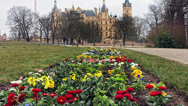 Tausende von Frühblühern schmücken die Beete vor dem Schweriner Schloss. Foto: Helmut Kuzina