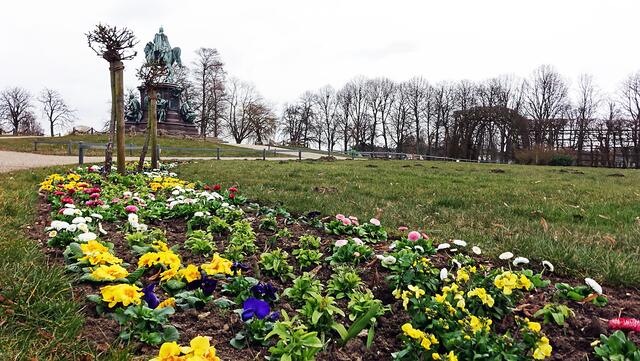 Frühjahrsblüher im Schlossgarten, im Hintergrund das Reiterdenkmal, das an Großherzog Friedrich Franz II. erinnert. Foto: Helmut Kuzina