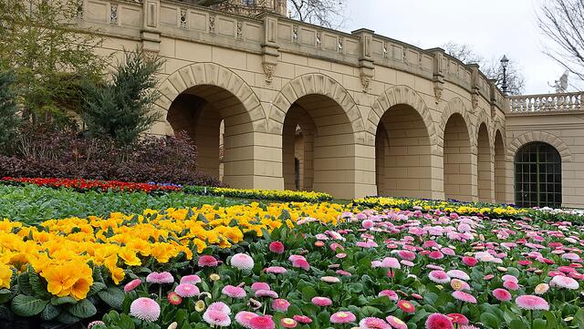 Mitarbeiter der Gartenbaufirma hatten alle Hände voll zu tun, um die Frühjahrsblüher vor dem Schloss in die Erde zu bringen.