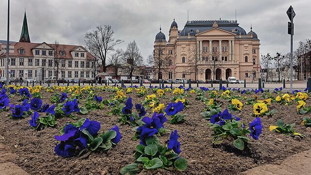 Frühjahrsblüher im Alten Garten, im Hintergrund das Mecklenburgische Staatstheater (rechts). Foto: Helmut Kuzina