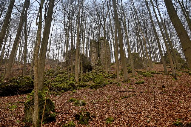 Die Ith-Klippen bei Coppenbrügge.