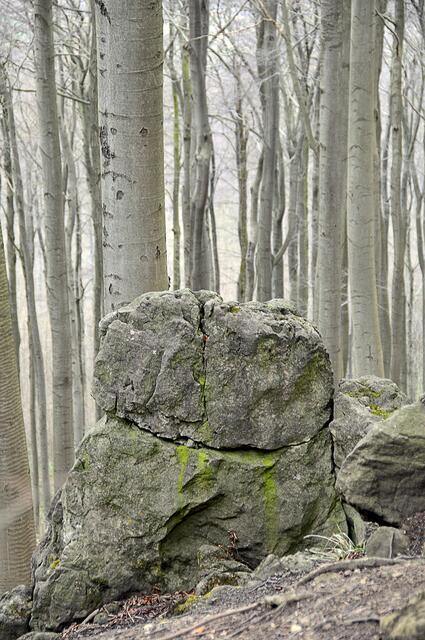 Felsen im Ith.