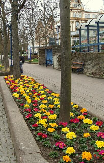 Blumenrabatten überall
