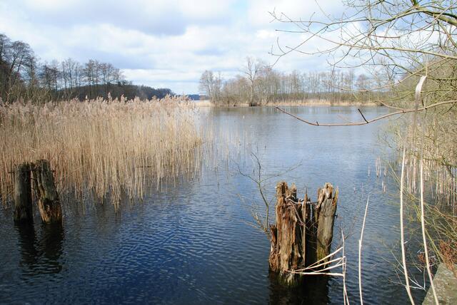 Ein Paradies für alle Lebewesen hier im See.