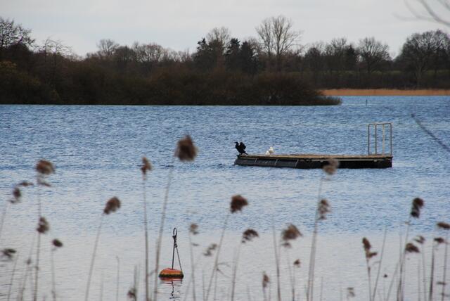 Blick auf den Schaalsee von Zarrentin aus.