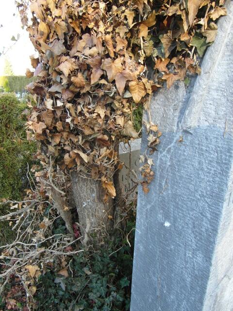 Verbunden das Leben mit dem Tod !