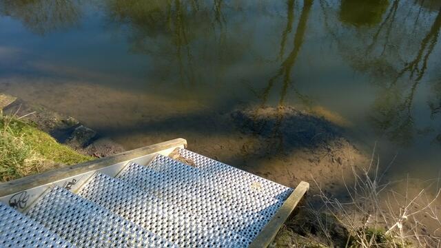 Gronau (Leine) Kanian_OW-Kanuufertreppe. 25.03.16 behindernde Schlammbank dem Bauamt per Mail gemeldet, 21.04.16 geräumt!