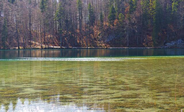 Der Alatsee