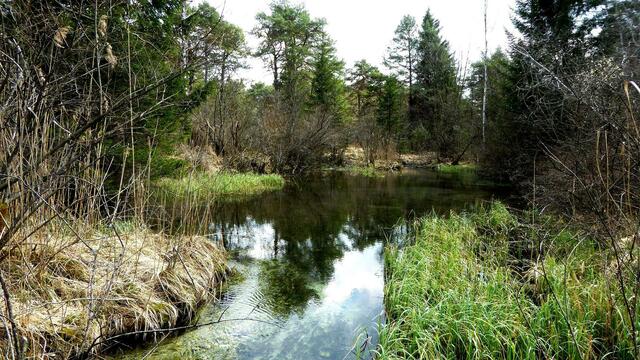 Kleiner Waldsee