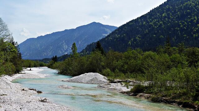 Die Isar bei Vorderriss