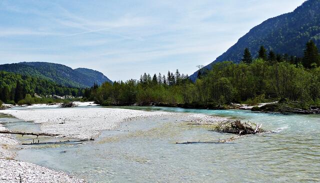 Die Isar bei Vorderriss