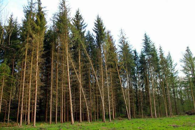 Seitenwind...? ;-)