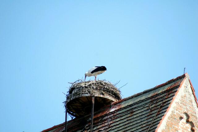 Ist doch ganz schön hier