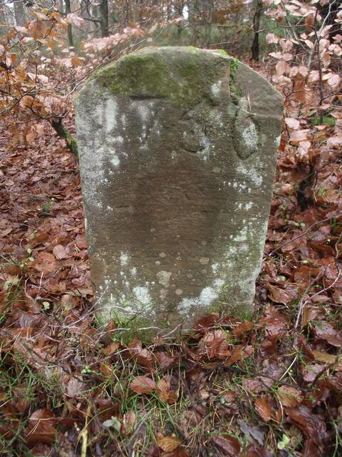Grenzstein von 1756 am Wanderweg.