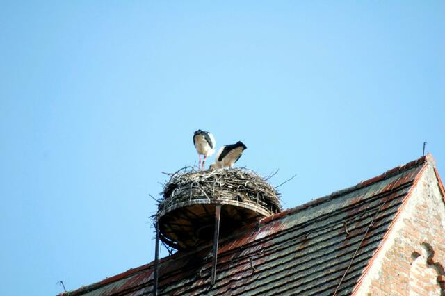 Gemeinsam geht das besser