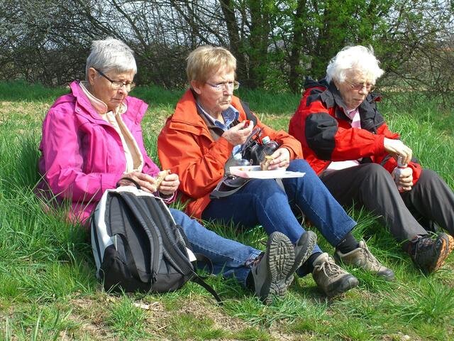 Mittagspause in der freien Natur