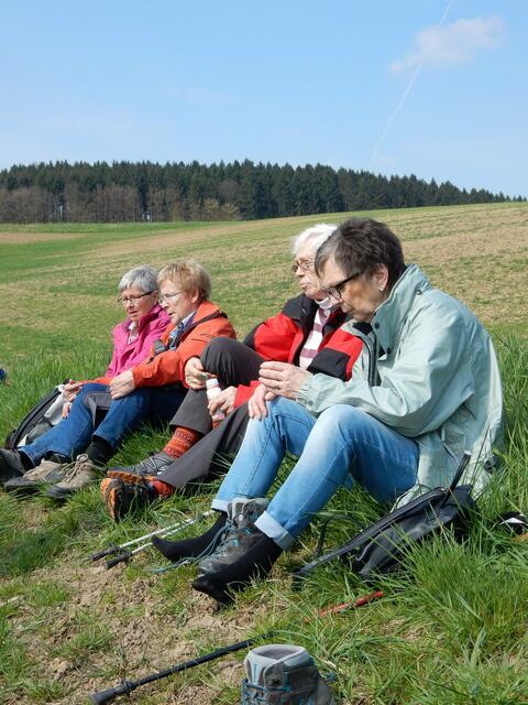 Mittagspause in der freien Natur