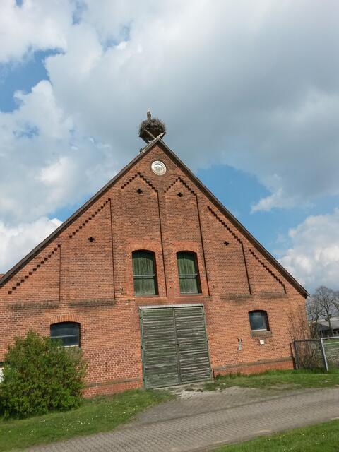 Storchenpaar in Mecklenhorst/Neustadt