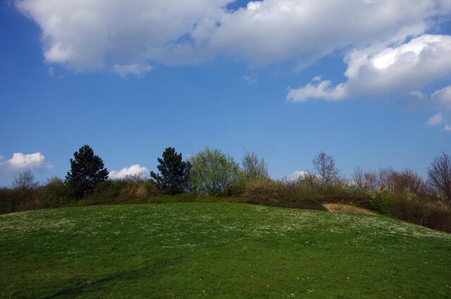 im Park der Sinne