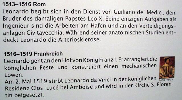 Lebenslauf - Leonardo da Vincis Maschinen in Naumburg !