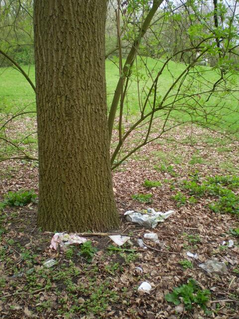 BREMEN RÄUMT AUF am 16. April 2016: Baum auf der Wiese am Georg-Junk-See