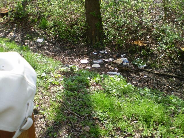 BREMEN RÄUMT AUF am 16. April 2016: Blick auf den Georg-Junk-See am Vahrer Feldweg