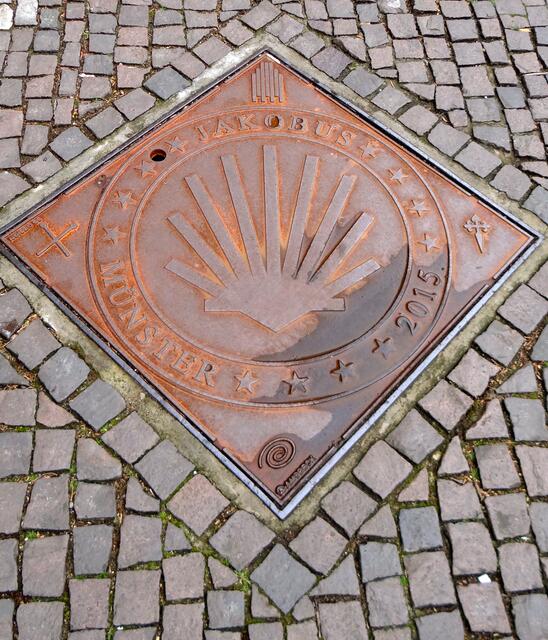 Pilgermuschel im Pflaster vor der Lambertikirche in Münster