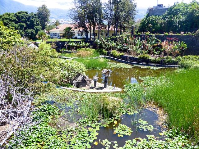 Im Jardín Acuatico