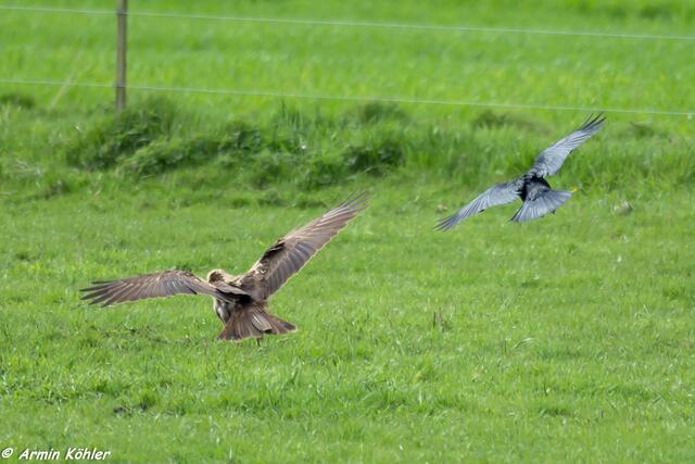 Noch eine Verfolgung