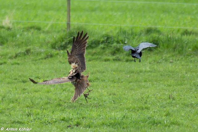 Schnell weg mit der Beute