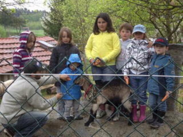 Kindertag auf dem Gnadenhof.