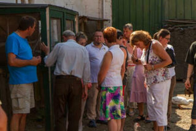 Führungen über den Gnadenhof.