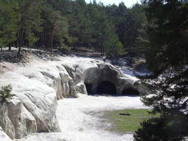 Nicht weit hinter der Burg liegen auch diese Sandsteinhöhlen, die schon in der Frühgeschichte bewohnt waren. Später, zur Germanenzeit, soll dieser Platz als Thingstätte gedient haben.