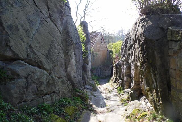 Ein eindrucksvoller Hohlweg führt durch die Reste der Altenburg.