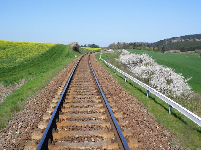 Dabei überqueren wir die Bahnstrecke, die von Blankenburg über Börnecke und Langenstein nach Halberstadt führt.