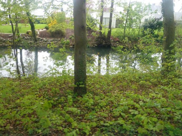Auch ein Bach schlengelte sich hier lang.