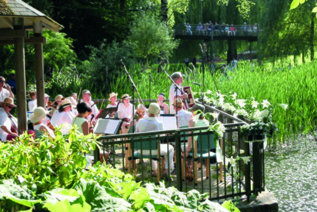 Serenade am Teich mit dem Neusässer Kammerorchester | Foto: © Neusässer Kammerorchester