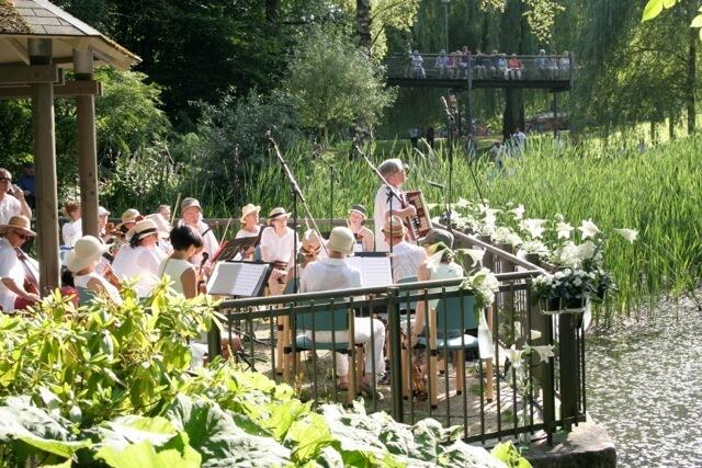 Serenade am Teich mit dem Neusässer Kammerorchester | Foto: © Neusässer Kammerorchester