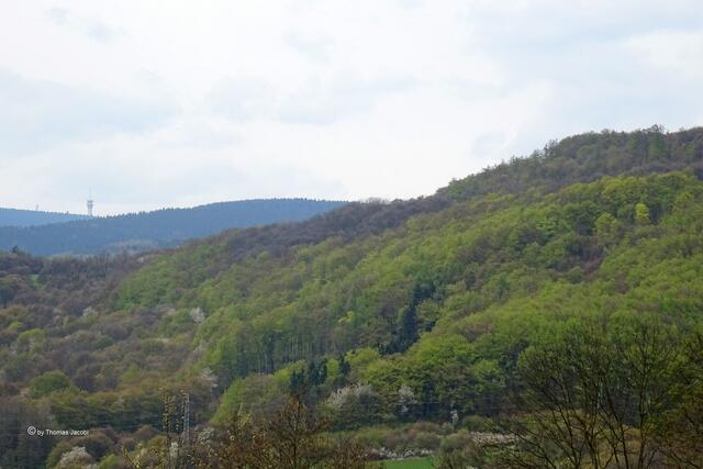 Blick Richtung Keilberg (bei Korunni)