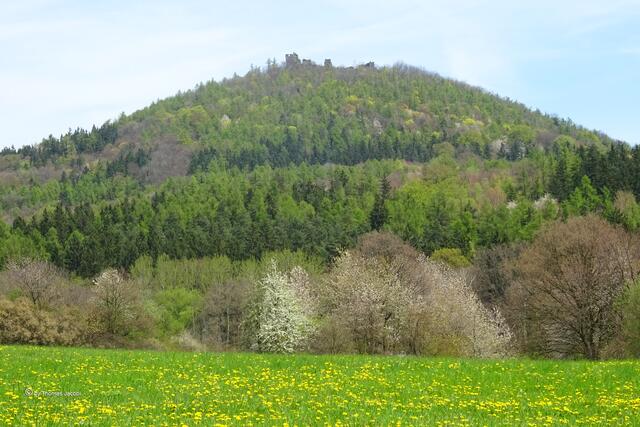 ...es bei traumhaftem Frühlingswetter an der Burg Schönburg vorüber...