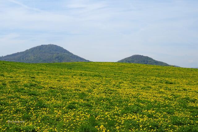 Frühling pur