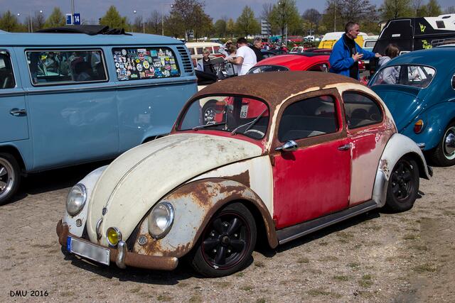 Rat-Bug ;-)