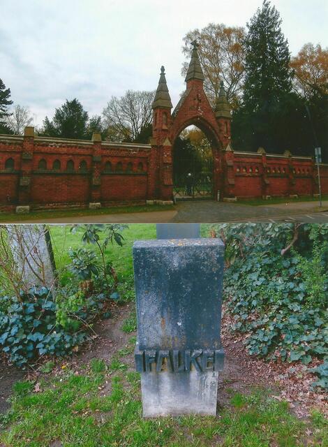 Adolf Falke ruht auf dem Nackenberger Friedhof, 2016.