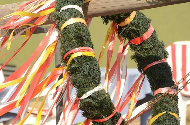maibaum 2016  Osterwald  01
