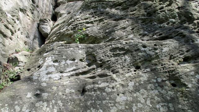 Die Altenburg in Nebra - ein Aufschwung Ost für Boulder (Freikletterer) - und den DWS Führer für Mitteldeutschland ! (5.5.2016)