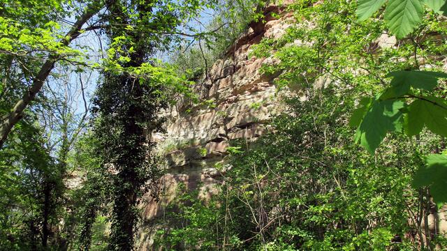 Die Altenburg in Nebra - ein Aufschwung Ost für Boulder (Freikletterer) - und den DWS Führer für Mitteldeutschland ! (5.5.2016)