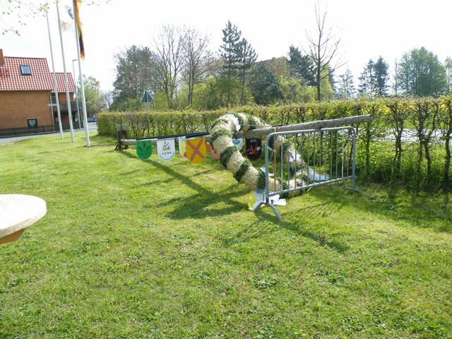 2. Gegen 11 Uhr - der Maibaum liegt bereit.